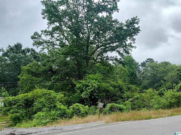 1 Acre of Land for Sale in Talladega, Alabama