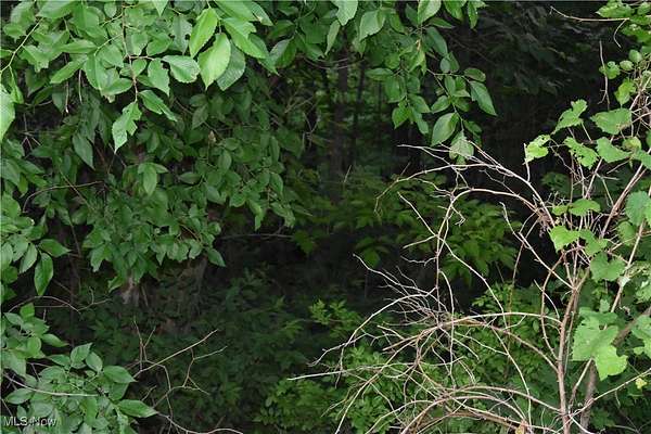 2.72 Acres of Residential Land for Sale in Bellaire, Ohio