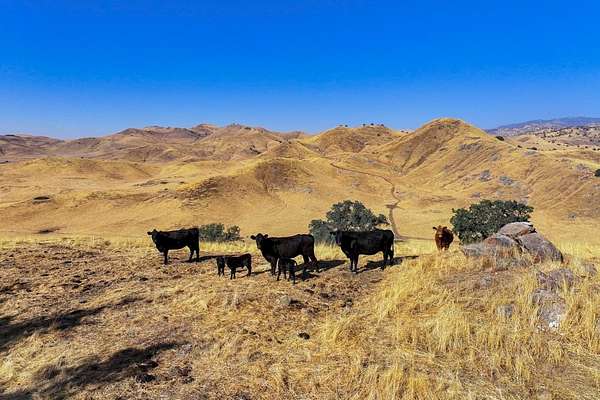 128 Acres of Land for Sale in Porterville, California