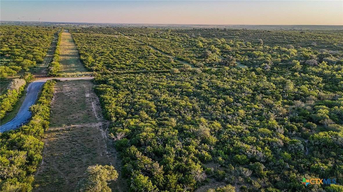 453 Acres of Recreational Land & Farm for Sale in Beeville, Texas
