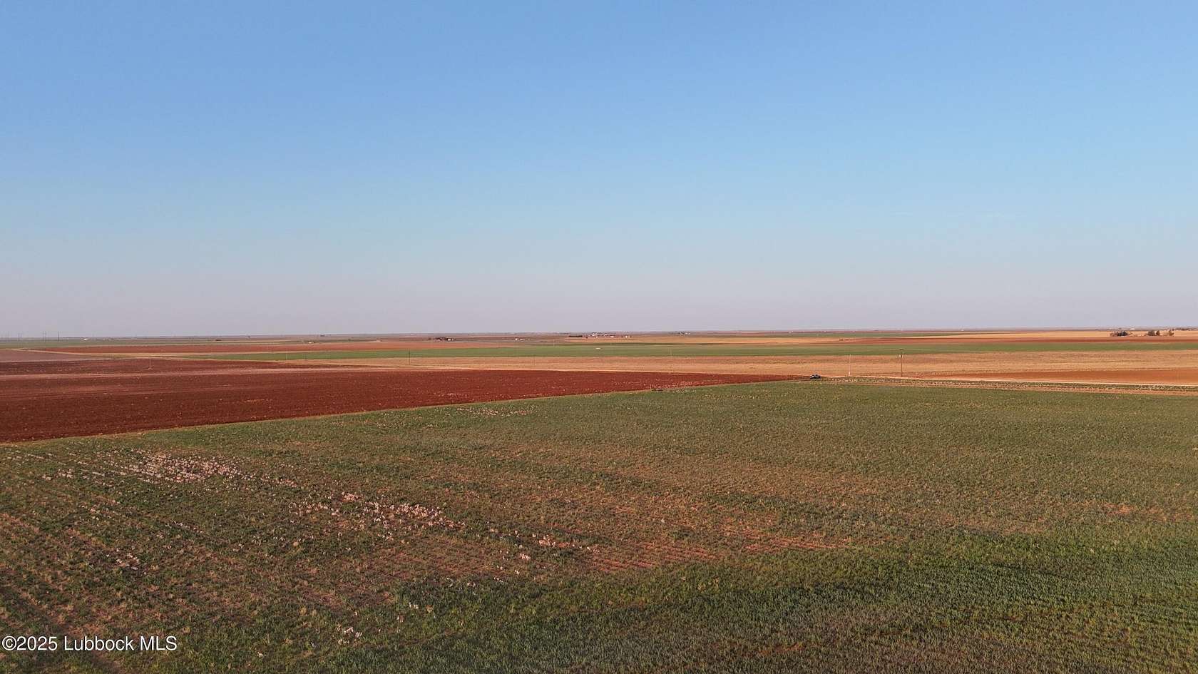 Land for Sale in Brownfield, Texas