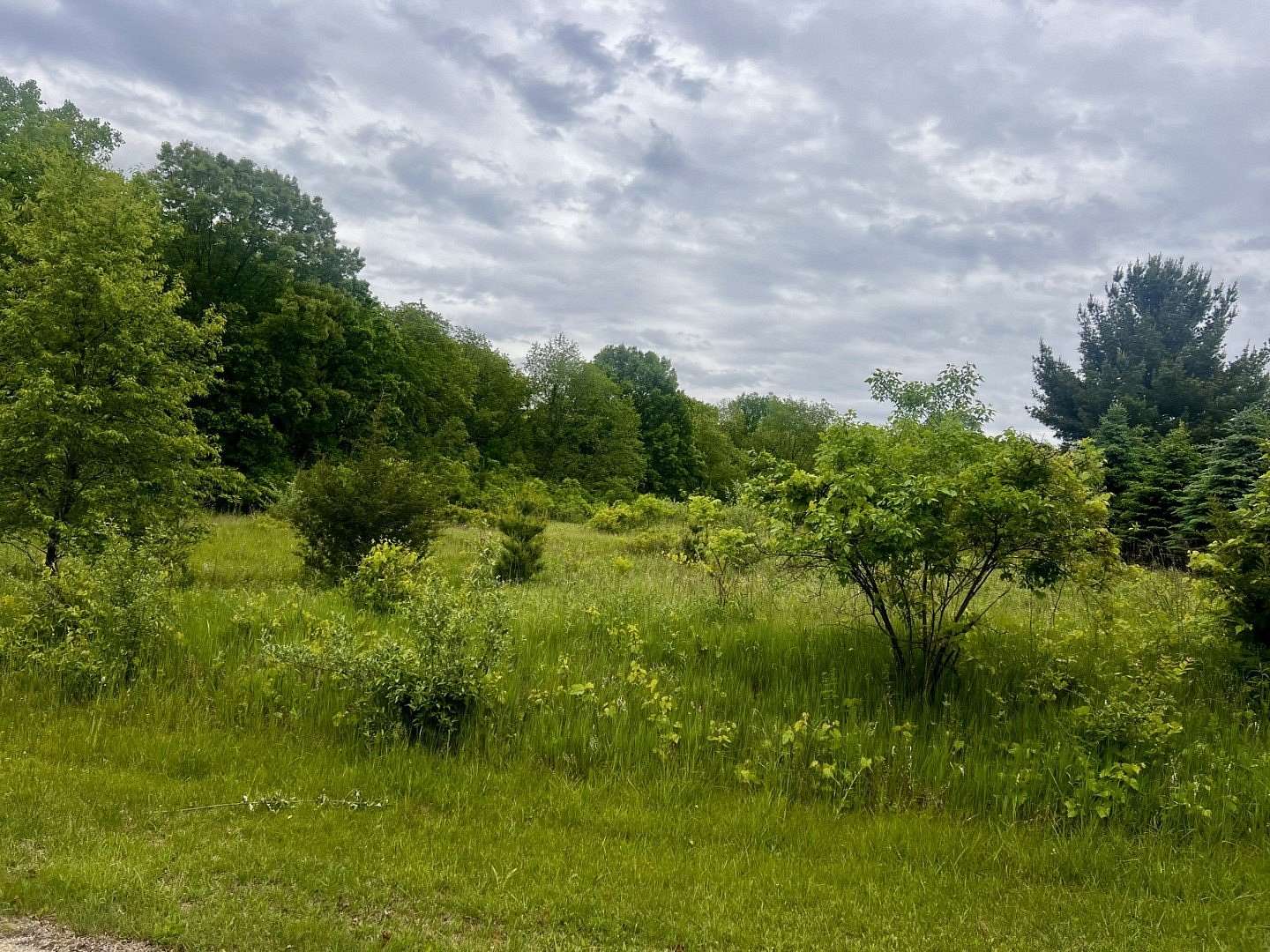 Residential Land for Sale in Dixon, Illinois