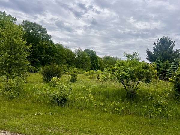 Residential Land for Sale in Dixon, Illinois