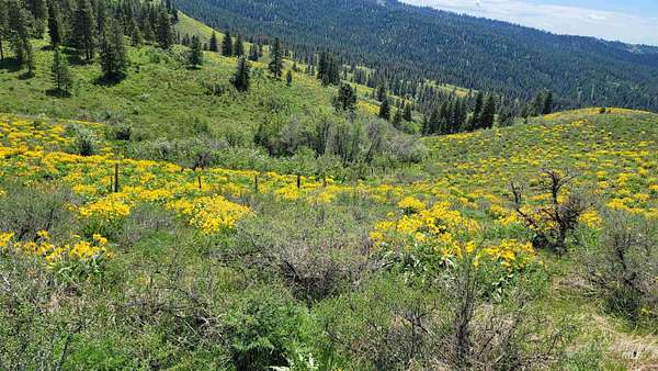 160 Acres of Land with Home for Sale in Council, Idaho