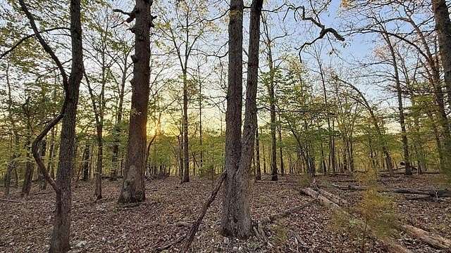 0.56 Acres of Residential Land for Sale in Kansas, Oklahoma