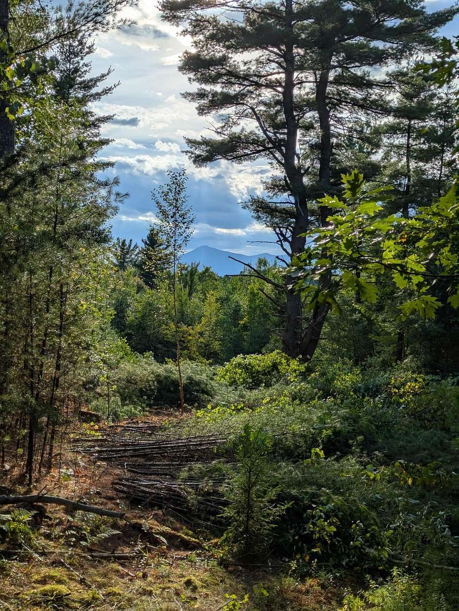 25.8 Acres of Land for Sale in Jay, New York