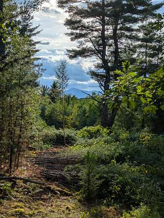 25.8 Acres of Land for Sale in Jay, New York