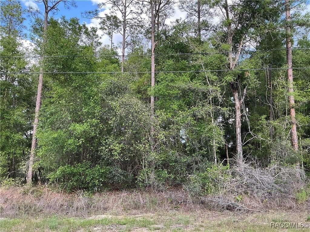 0.3 Acres of Residential Land for Sale in Citrus Springs, Florida
