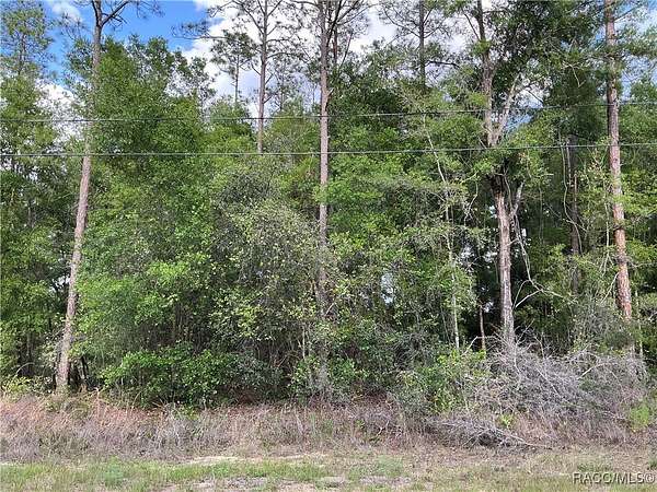 0.3 Acres of Residential Land for Sale in Citrus Springs, Florida