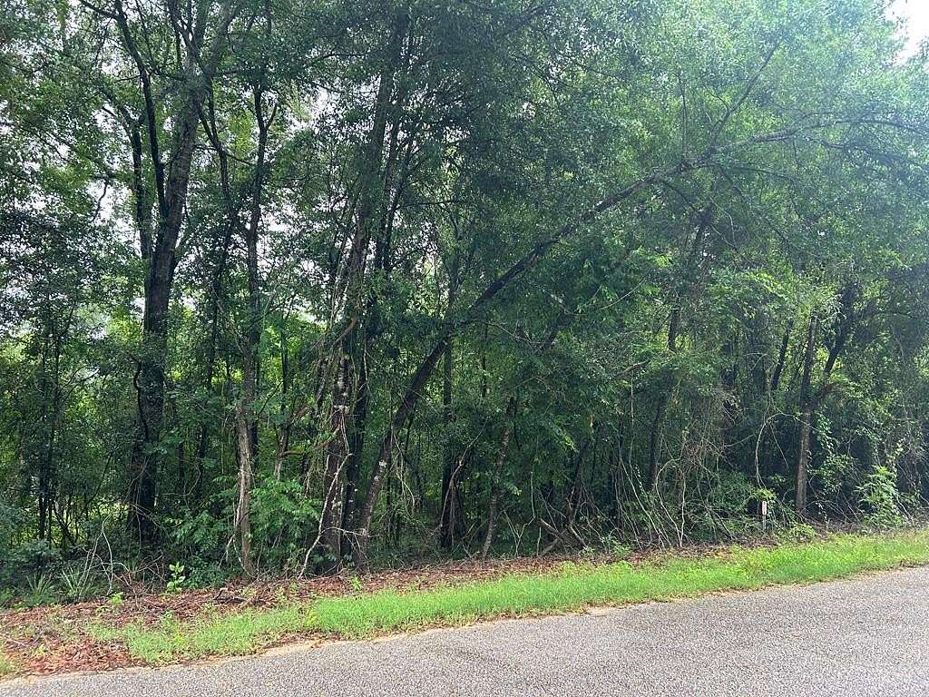 34.7 Acres of Recreational & Residential Land for Sale in Newton, Alabama