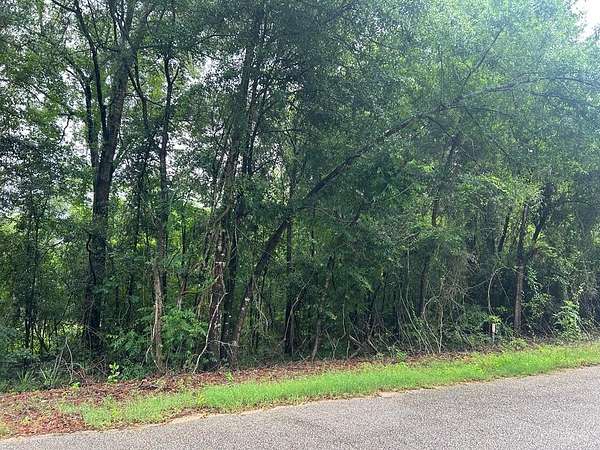 34.7 Acres of Recreational & Residential Land for Sale in Newton, Alabama