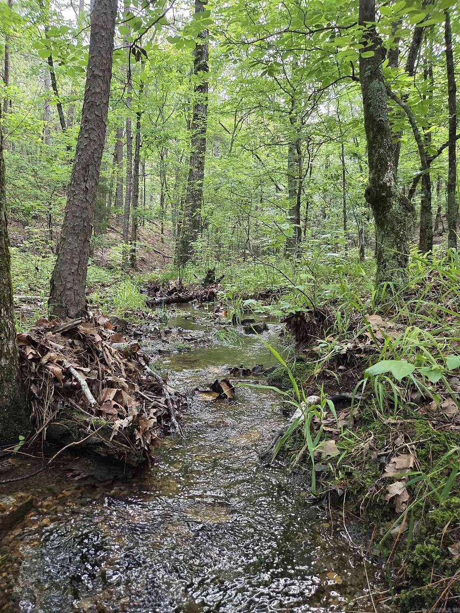 10.7 Acres of Recreational Land for Sale in Mena, Arkansas