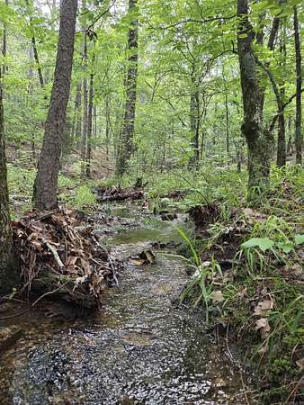 10.7 Acres of Recreational Land for Sale in Mena, Arkansas