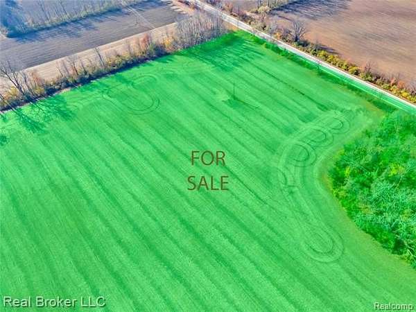 26.2 Acres of Agricultural Land for Sale in Belleville, Michigan