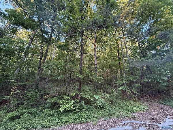 0.71 Acres of Land for Sale in Gadsden, Alabama
