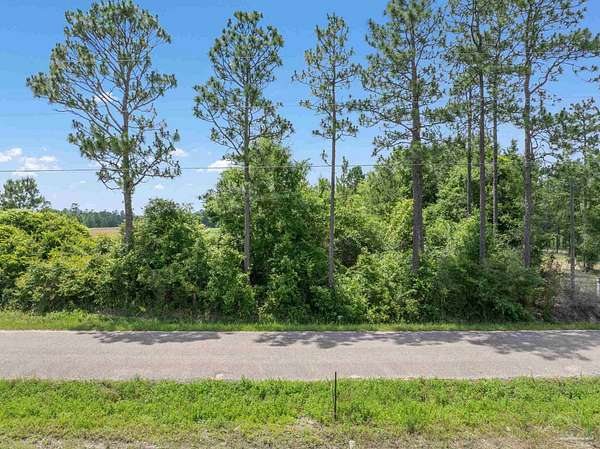 2 Acres of Residential Land for Sale in Jay, Florida