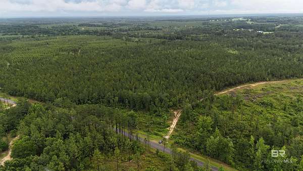 55 Acres of Land for Sale in Perdido, Alabama