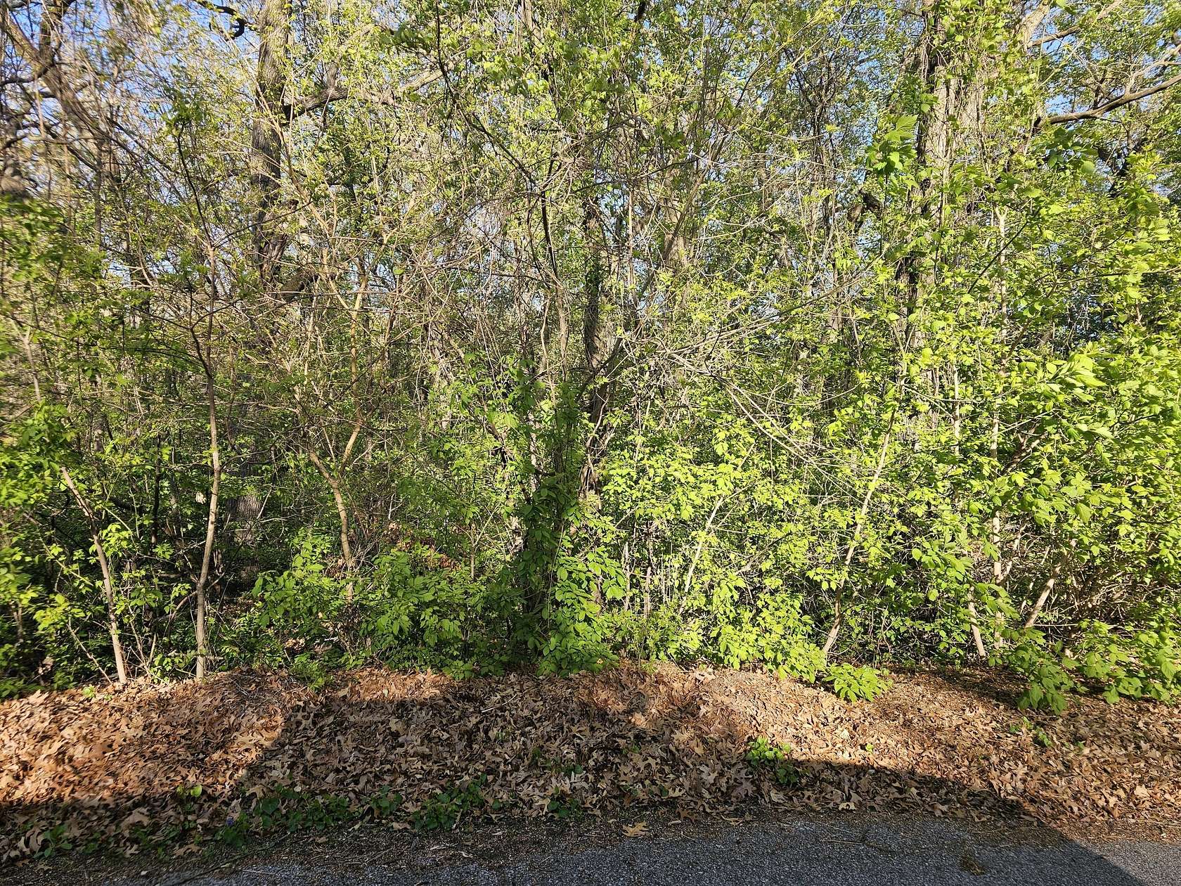 0.41 Acres of Residential Land for Sale in Hobart, Indiana