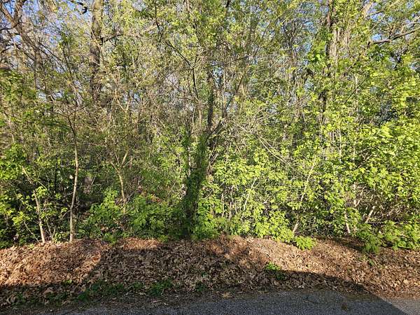 0.41 Acres of Residential Land for Sale in Hobart, Indiana