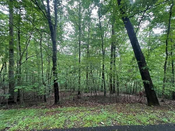 Residential Land for Sale in Hayesville, North Carolina