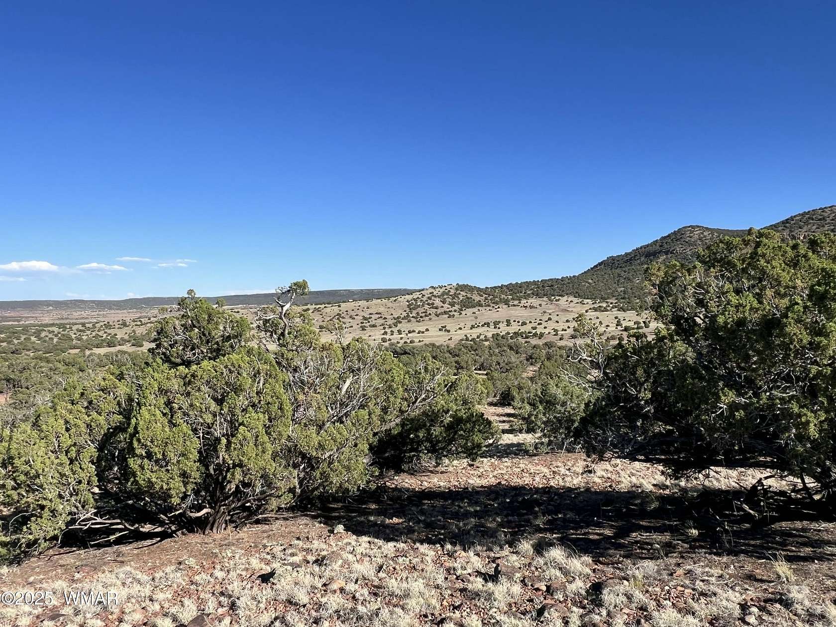 37.4 Acres of Land for Sale in Concho, Arizona
