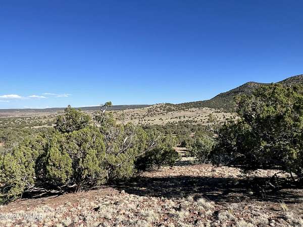37.4 Acres of Land for Sale in Concho, Arizona