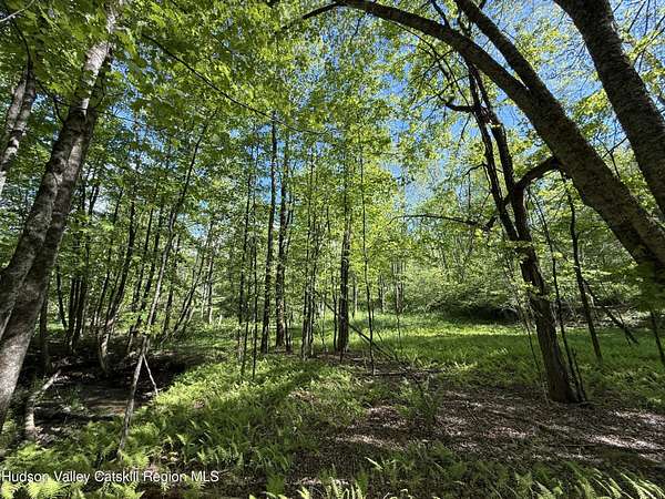 1 Acre of Residential Land for Sale in Liberty, New York