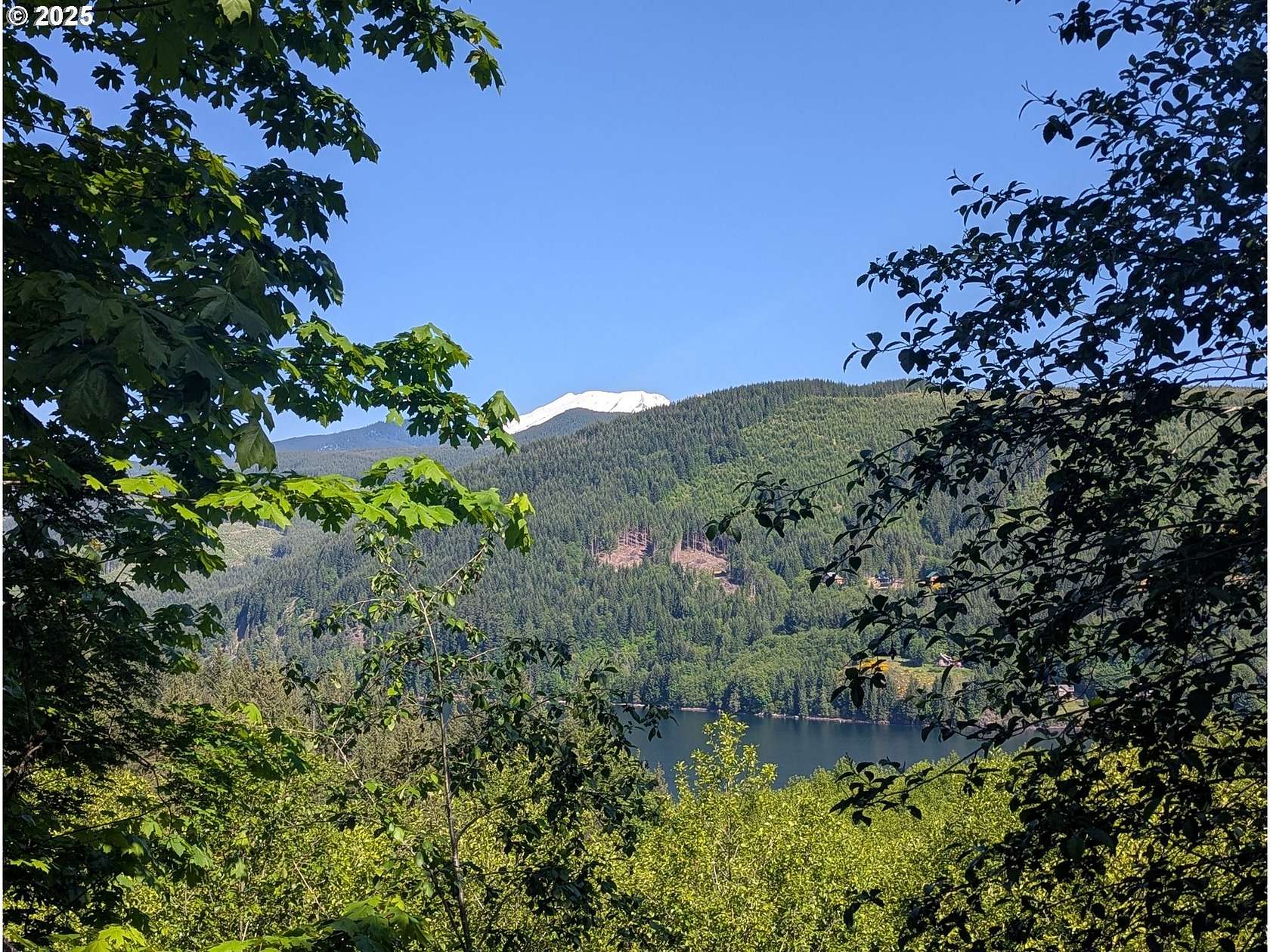 20 Acres of Recreational Land for Sale in Cougar, Washington