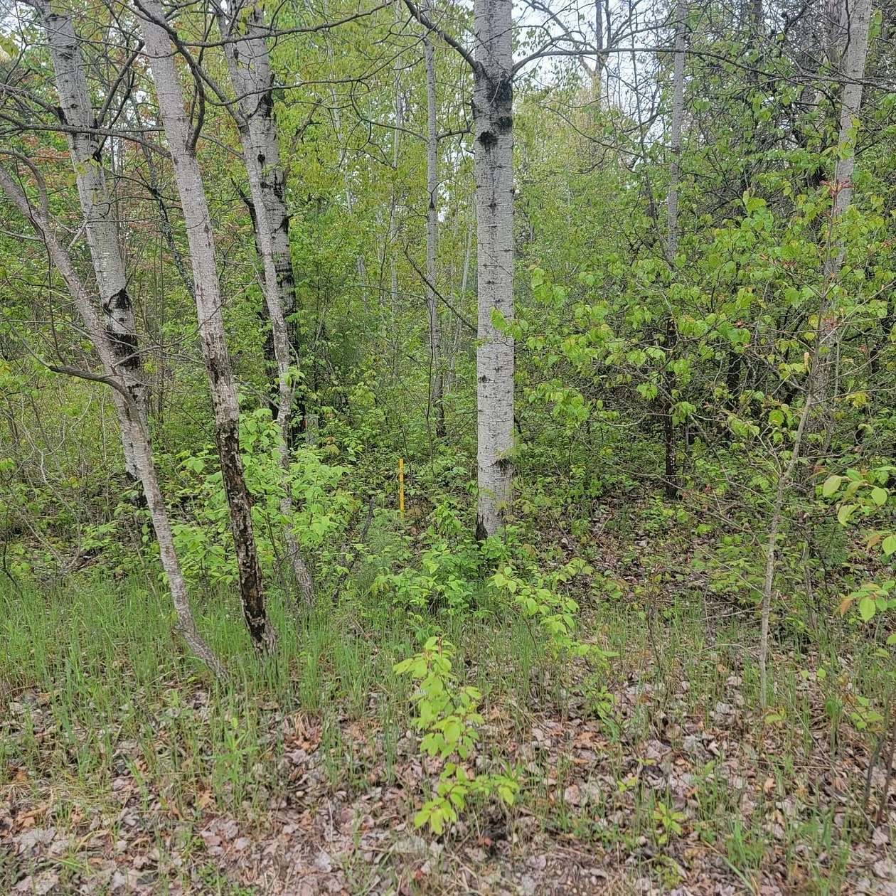 Land for Sale in Roscommon, Michigan