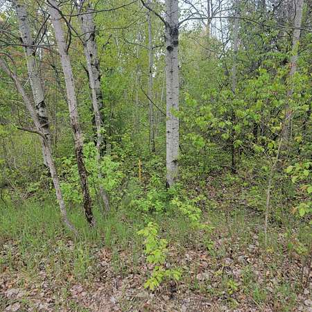 Land for Sale in Roscommon, Michigan