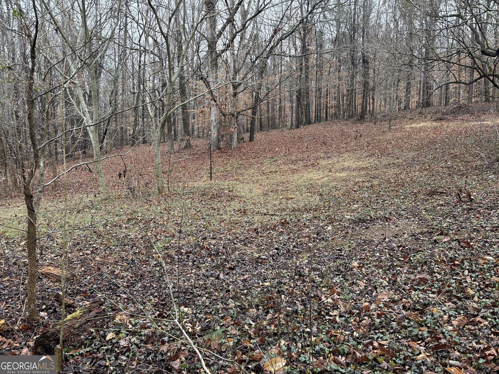 4.3 Acres of Residential Land for Sale in Jefferson, Georgia