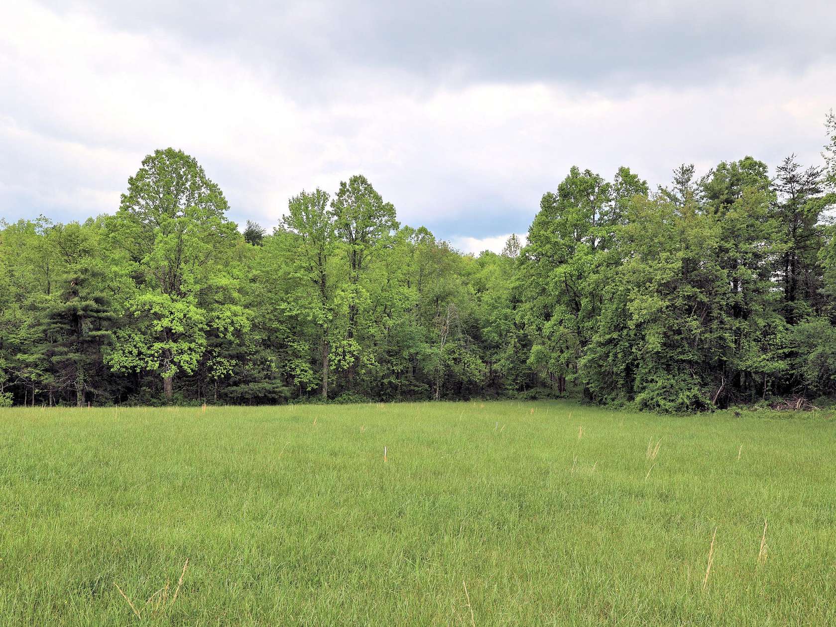 2.47 Acres of Residential Land for Sale in Floyd, Virginia