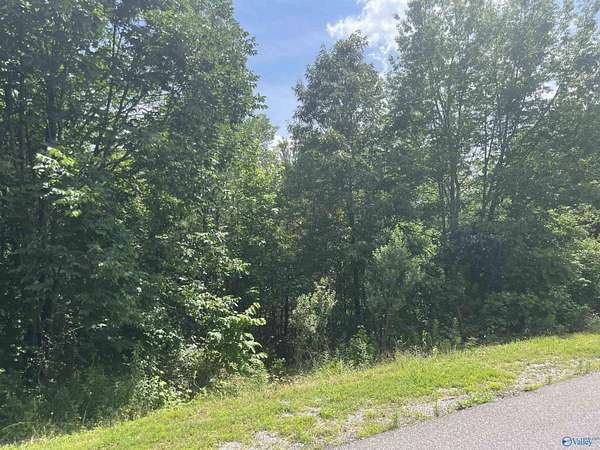 0.56 Acres of Residential Land for Sale in Glencoe, Alabama