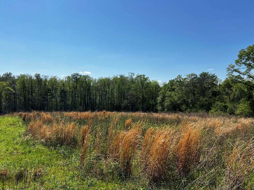 10 Acres of Land for Sale in Goshen, Alabama