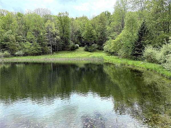 45.1 Acres of Improved Recreational Land for Sale in Cameron, New York
