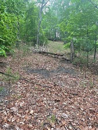 4.44 Acres of Residential Land for Sale in Ranger, Georgia