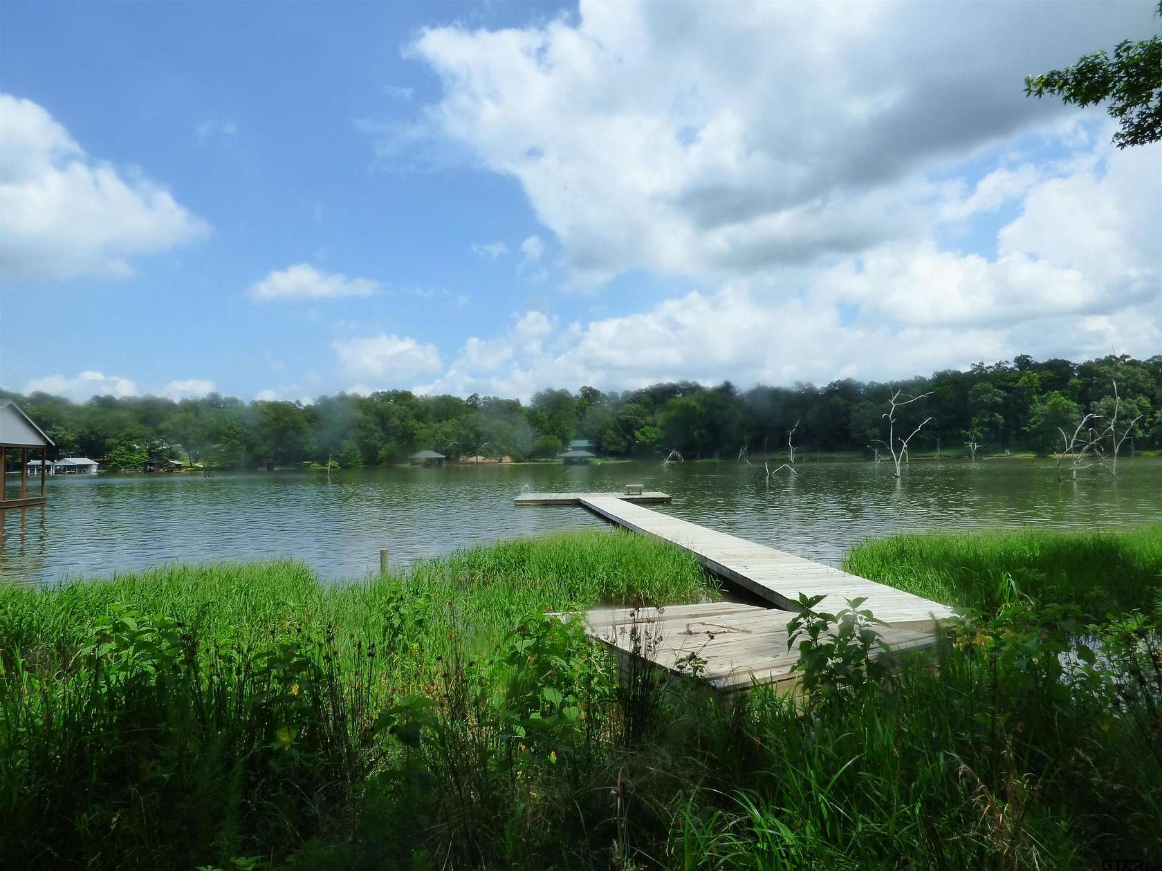 1 Acre of Residential Land for Sale in Pittsburg, Texas