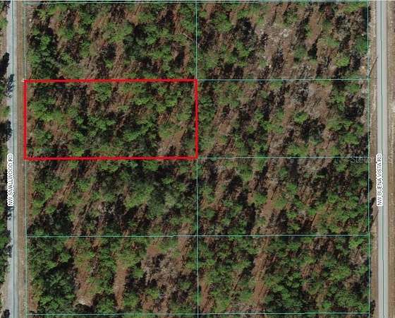 1 Acre of Residential Land for Sale in Dunnellon, Florida