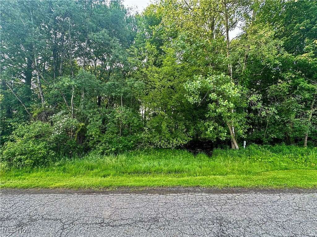 0.48 Acres of Residential Land for Sale in Youngstown, Ohio
