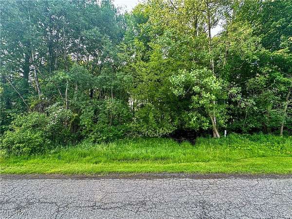 0.48 Acres of Residential Land for Sale in Youngstown, Ohio