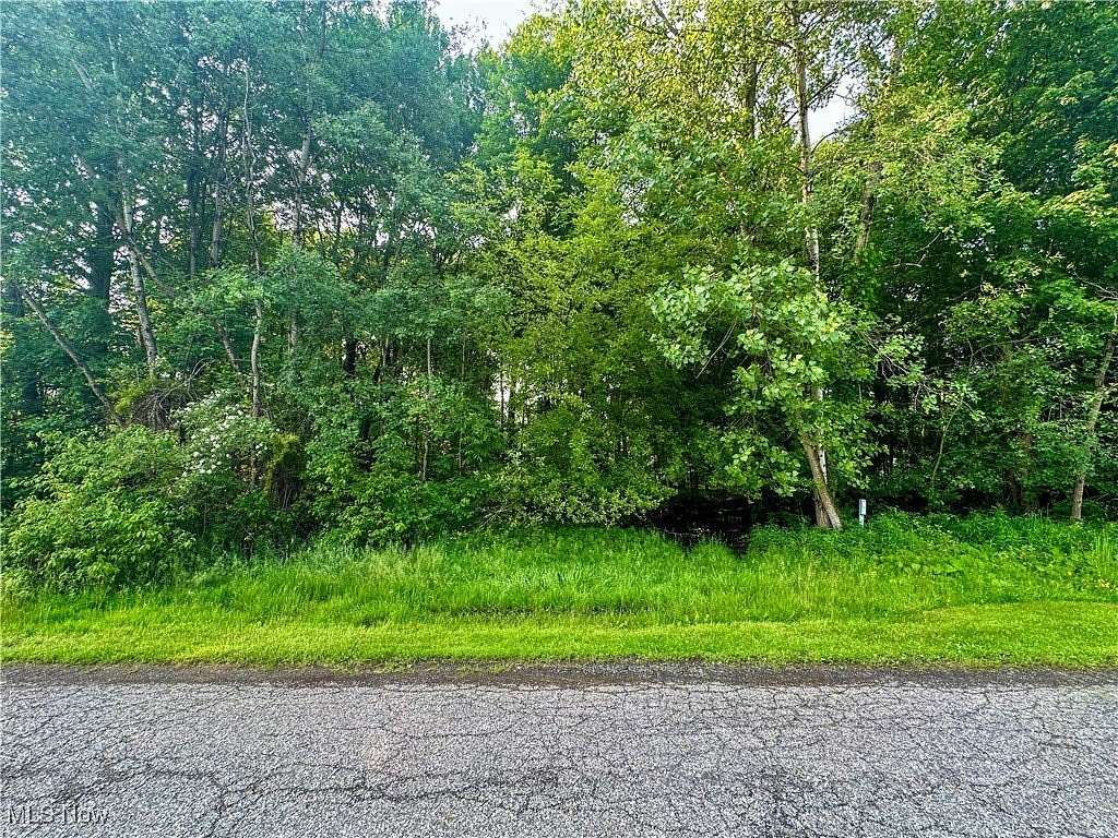 0.48 Acres of Residential Land for Sale in Youngstown, Ohio