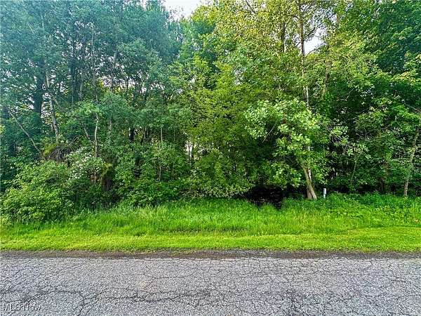0.48 Acres of Residential Land for Sale in Youngstown, Ohio
