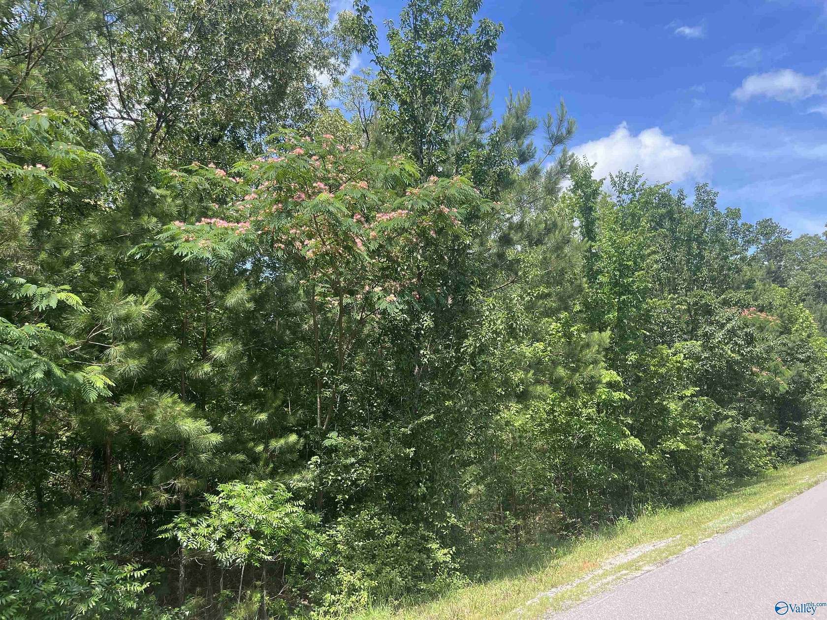 0.57 Acres of Residential Land for Sale in Glencoe, Alabama