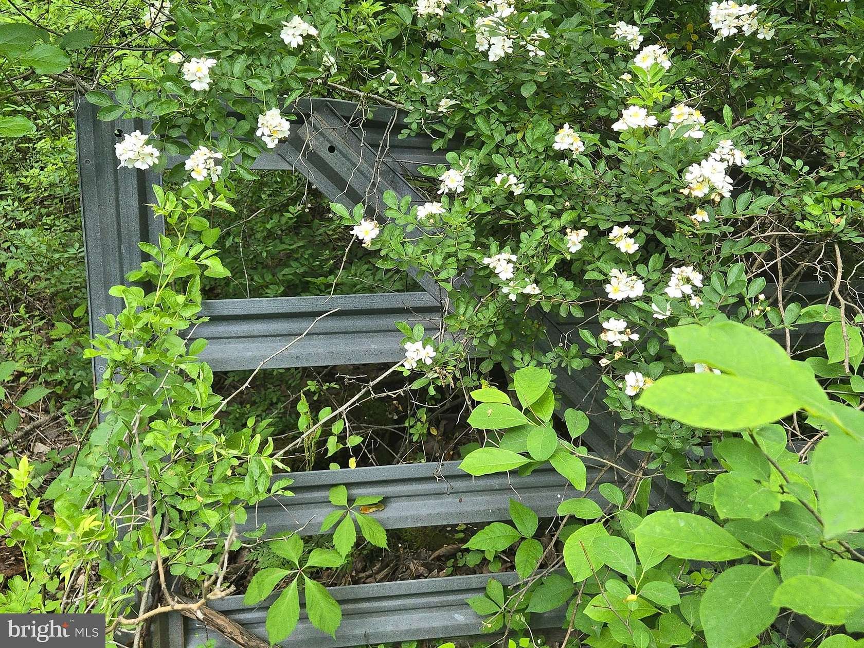 13.2 Acres of Land for Sale in Linden, Virginia