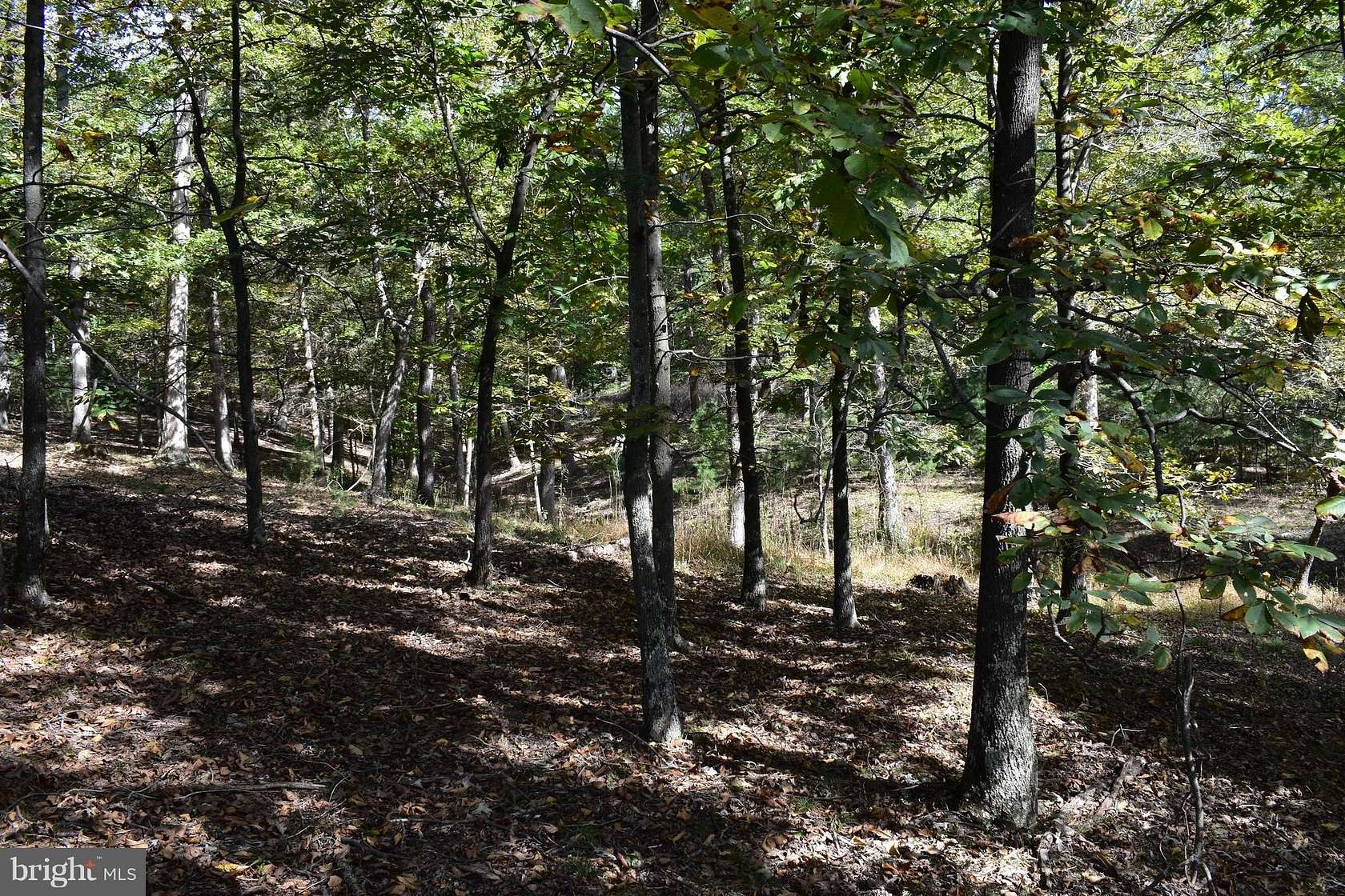 20 Acres of Land for Sale in Romney, West Virginia