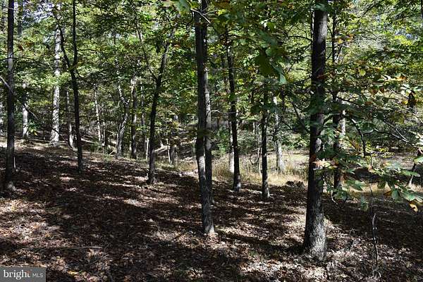 20 Acres of Land for Sale in Romney, West Virginia