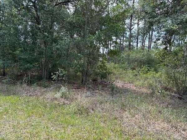 0.5 Acres of Land for Sale in Indian Lake Estates, Florida