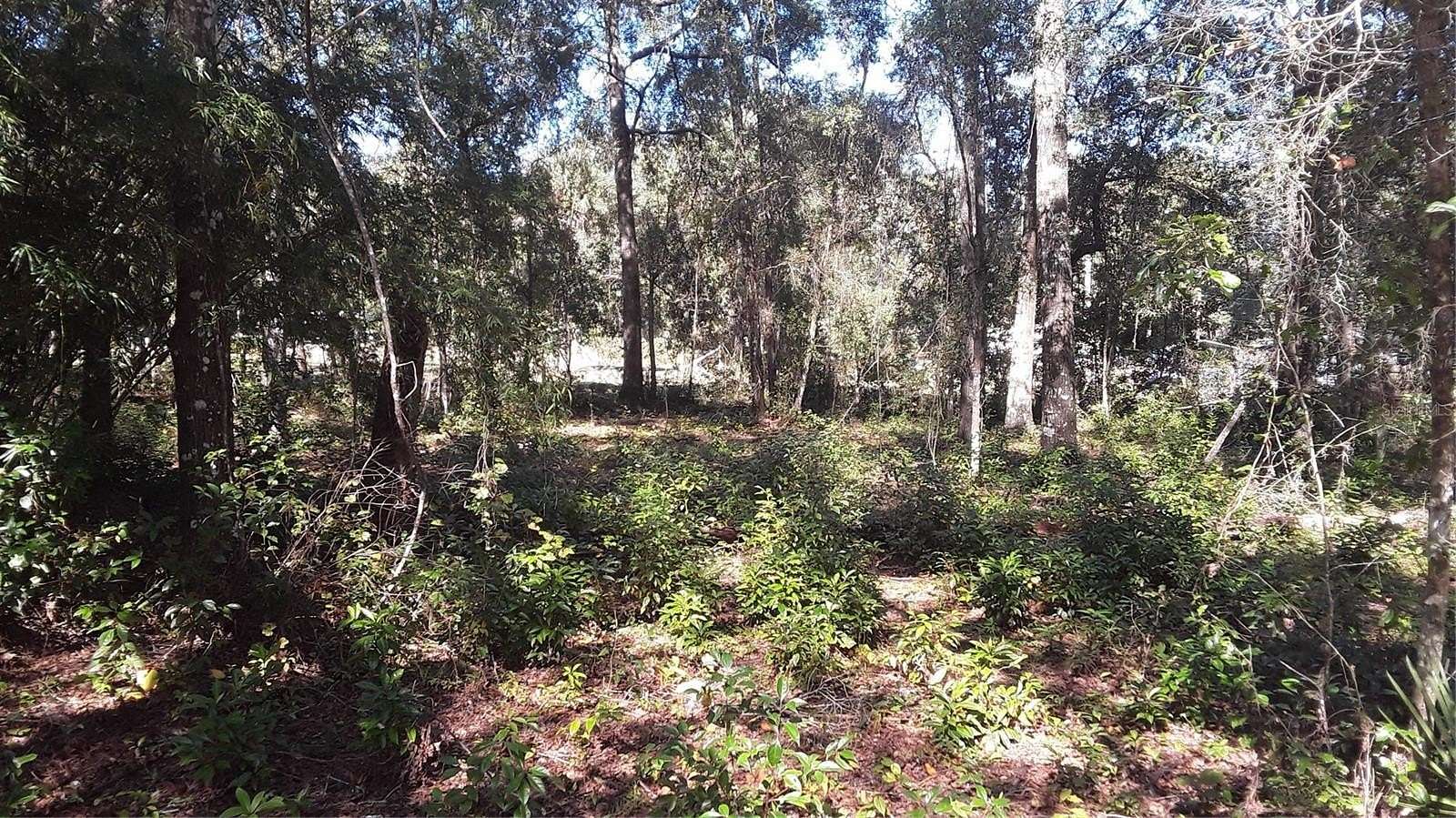 0.15 Acres of Land for Sale in Punta Gorda, Florida