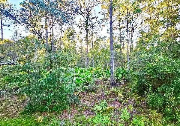 1.25 Acres of Residential Land for Sale in Crystal River, Florida