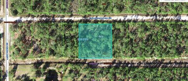 1 Acre of Land for Sale in Indian Lake Estates, Florida